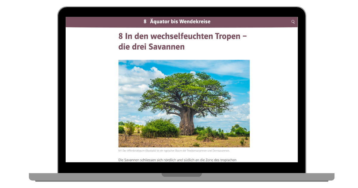 Laptop Screen Terra digi One Thema 8 breit