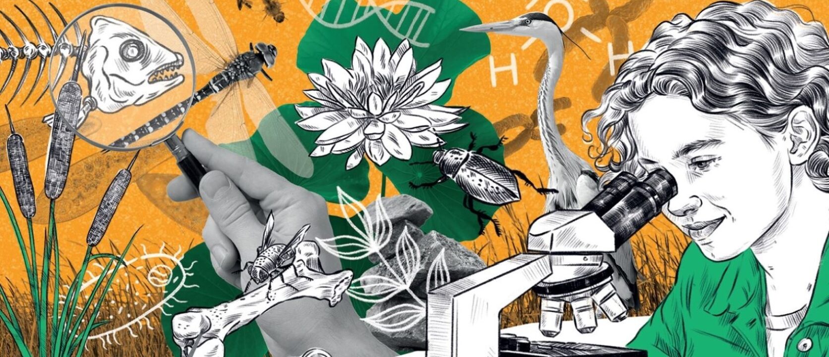 Prisma 1 Cover Ausschnitt 1600x689