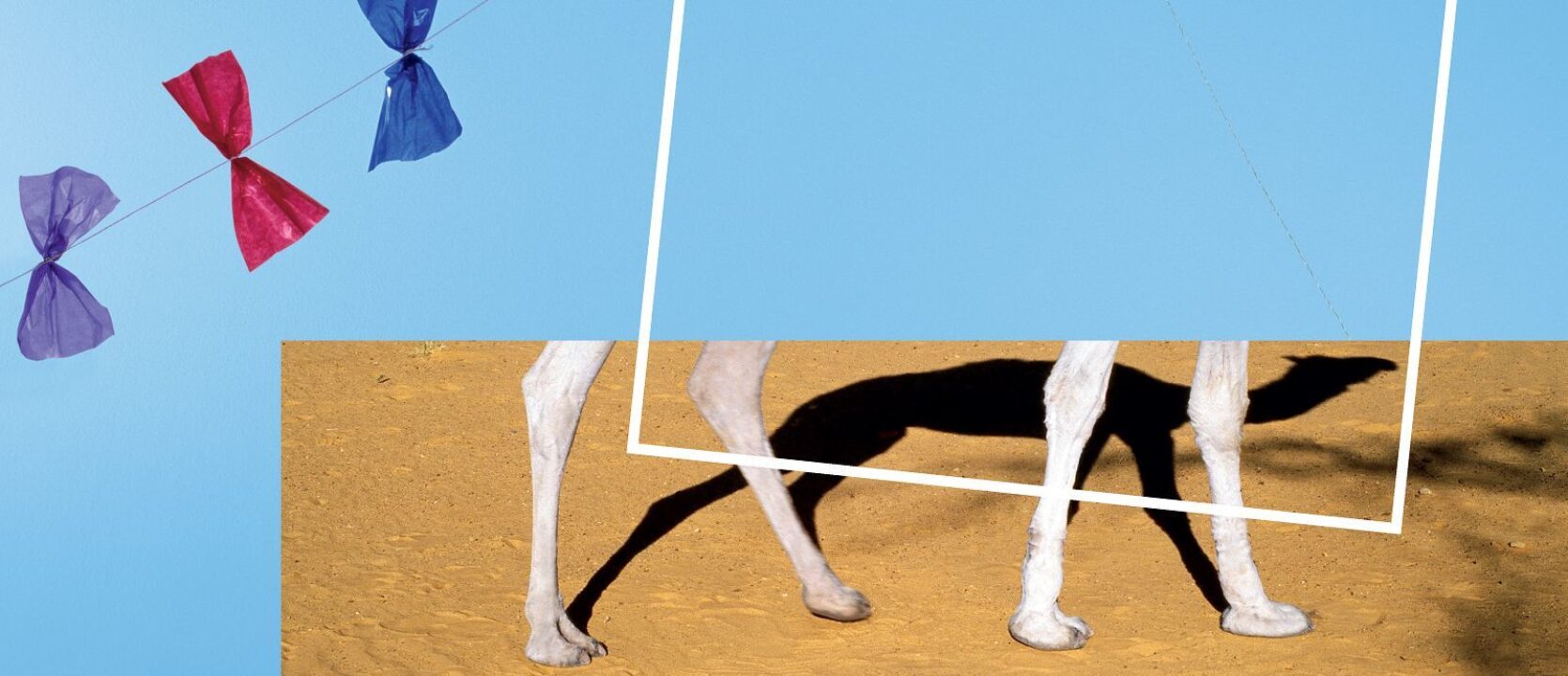 Das schweizer zahlenbuch 4 Header Kampagnenseite klett und balmer1600x689