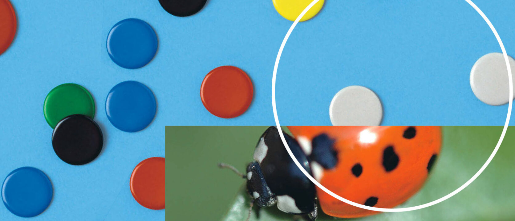 Header schweizer zahlenbuch 1 6 klett und balmer